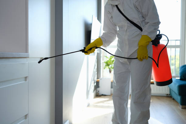 Best Mold Damage Repair  in Lavon, TX