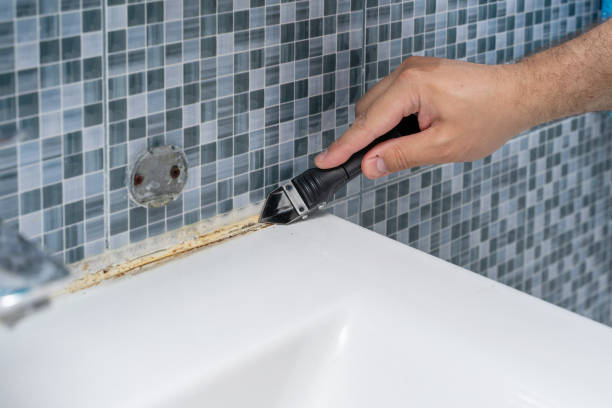 Best Attic Mold Removal  in Lavon, TX