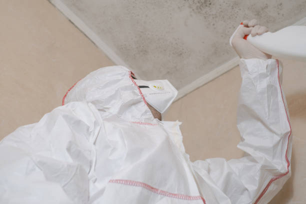 Best Local Mold Removal Service  in Lavon, TX